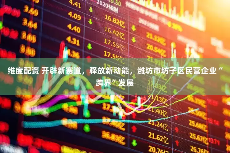 维度配资 开辟新赛道，释放新动能，潍坊市坊子区民营企业“跨界”发展