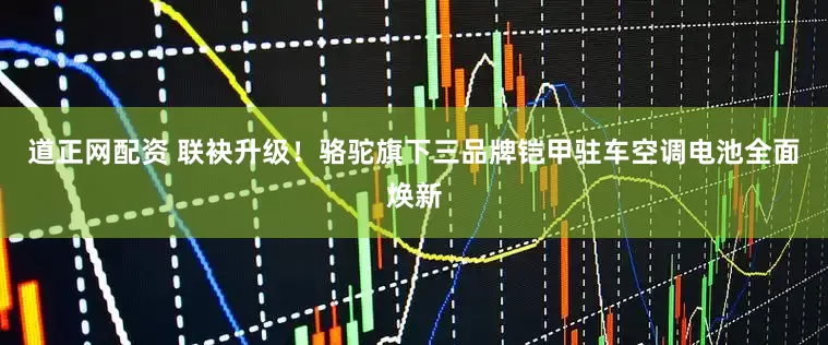 道正网配资 联袂升级！骆驼旗下三品牌铠甲驻车空调电池全面焕新